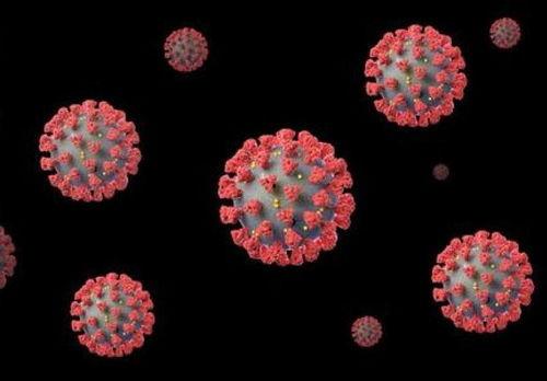 新冠冠状病毒最新爆料,病毒变异与全球防控策略再升级  第3张
