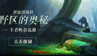 爆料王者峡谷视频下载安装,视频下载安装全过程解析  第3张