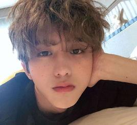 娱乐大爆料范丞丞王安宇,揭秘明星幕后故事